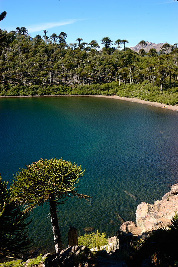 Laguna de la Mula, Region del Bio Bio