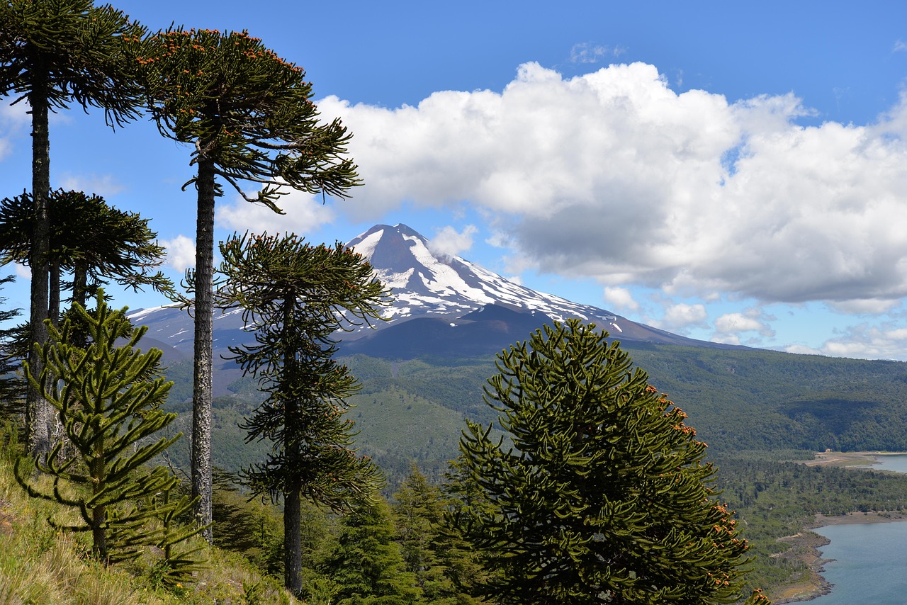 Parque Nacional Conguillio, Región de la Araucanía 