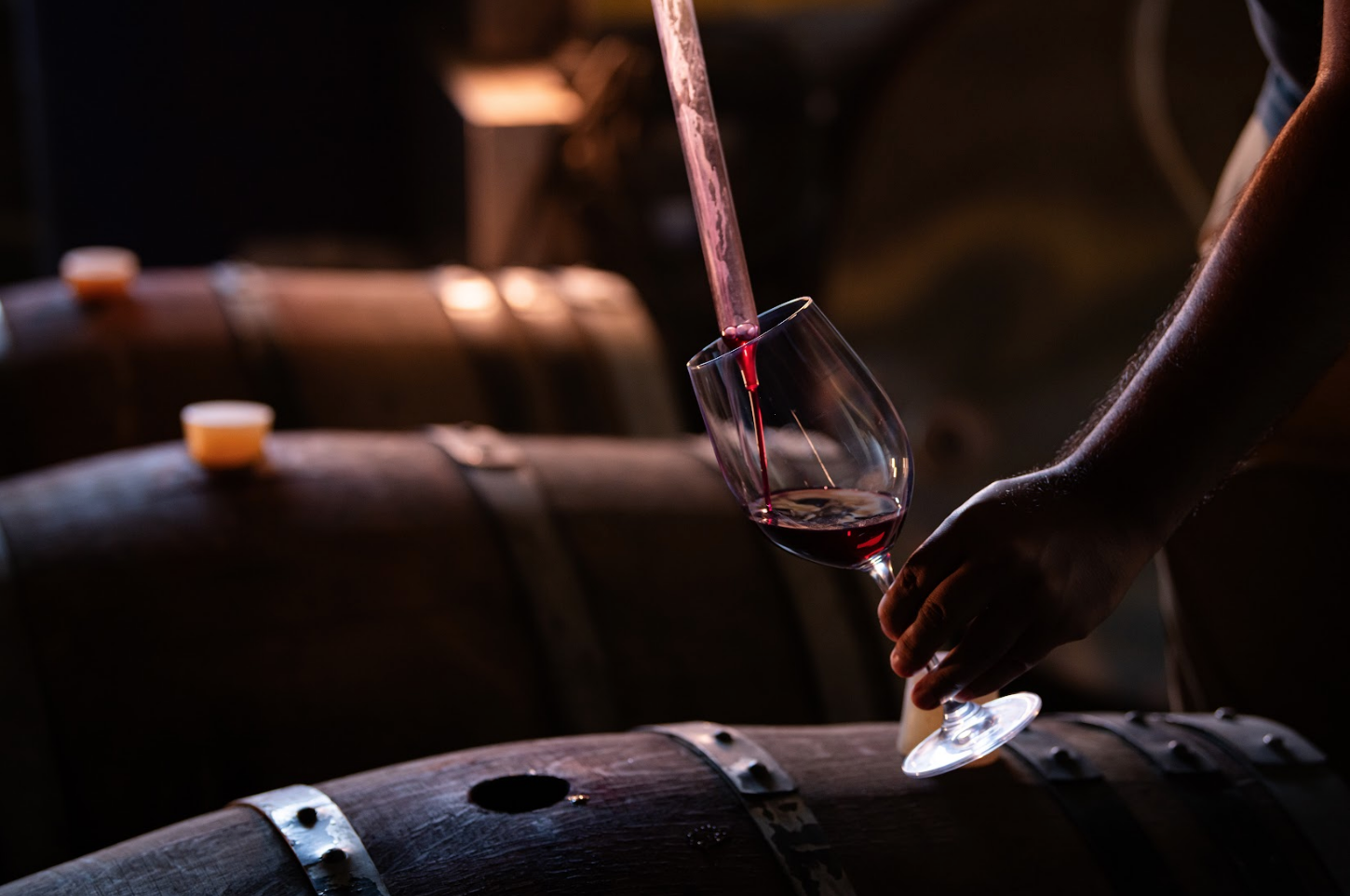 Vino Chileno, Región del Ñuble