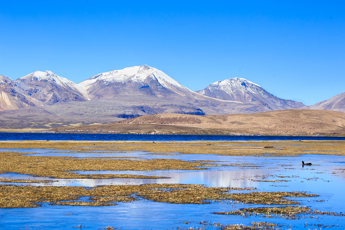 Región de Arica y Parinacota Lago Chungará
