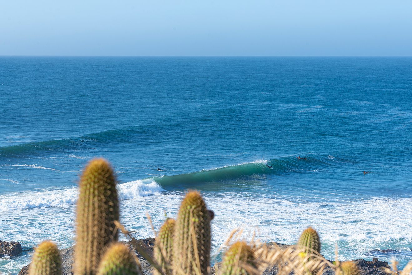 Punta de Lobos. Rgión de O'Higgins