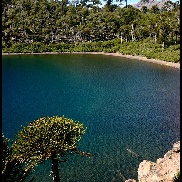 Laguna de la Mula, Region del Bio Bio