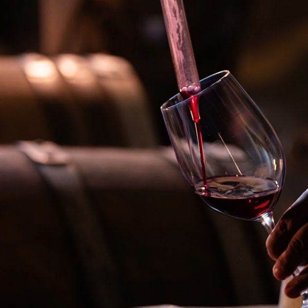 Vino Chileno, Región del Ñuble